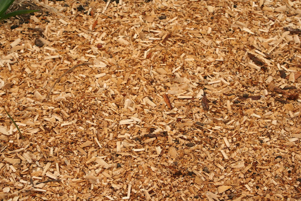 Comment faire du broyat de bois pour paillage : Guide simple et efficace