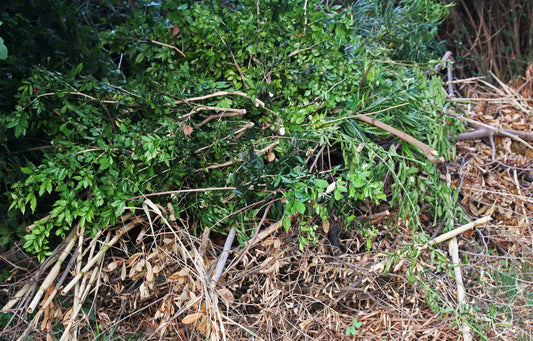 Comment se débarasser des déchets verts ?