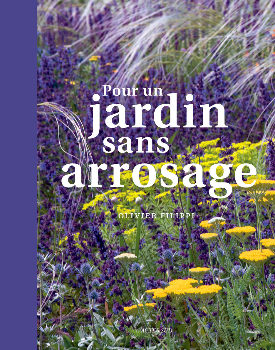 L'entretien d'un jardin méditerranéen